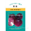 Hybird Purple Red Kale Seeds/Cabbage Seed For Cultivation